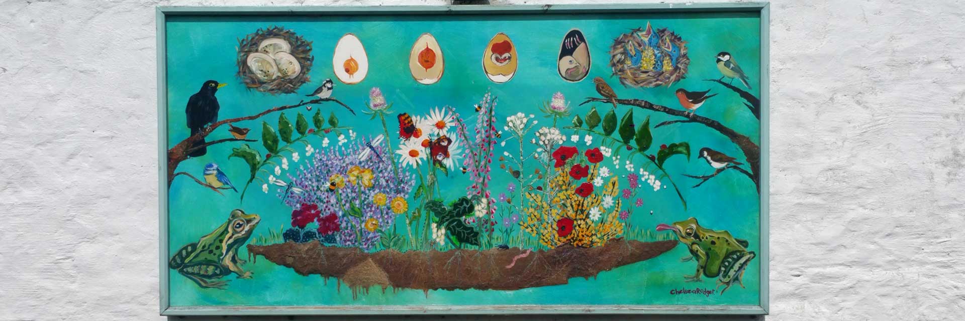 Our wonderful wildlife scene